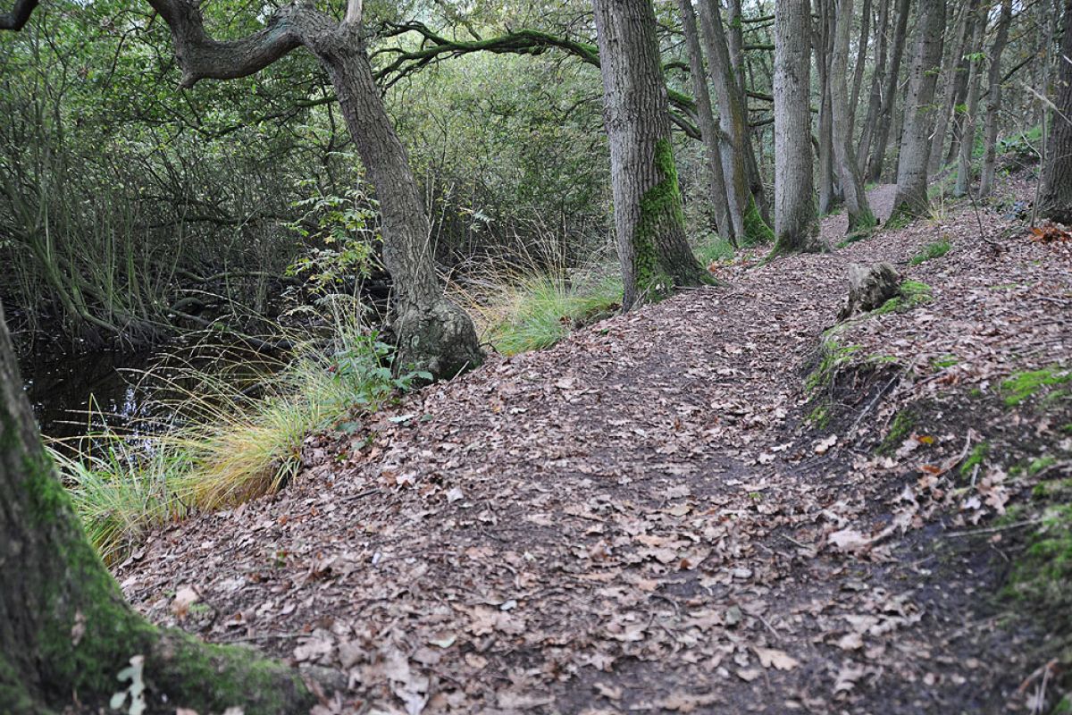 Wij zijn niet zo snel van 't padje. Dus ook zonder asfalt of klinkers zijn wegen voor ons interessant.
